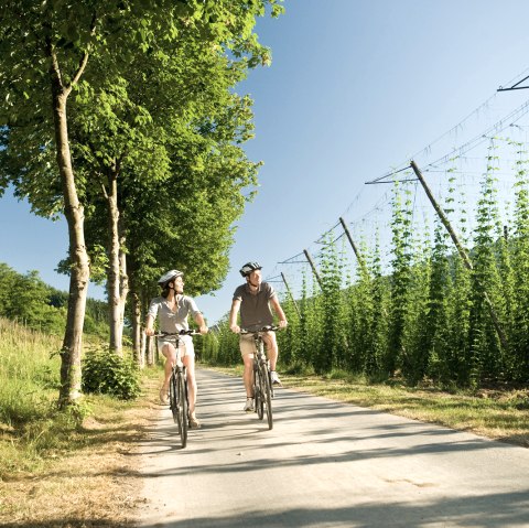 Cyclists on the Prüm cycle path, © Dominik Ketz Fotografie / Rheinland-Pfalz Tourismus GmbH