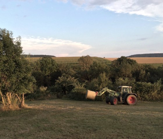 Erntezeit - Sp&auml;tsommer