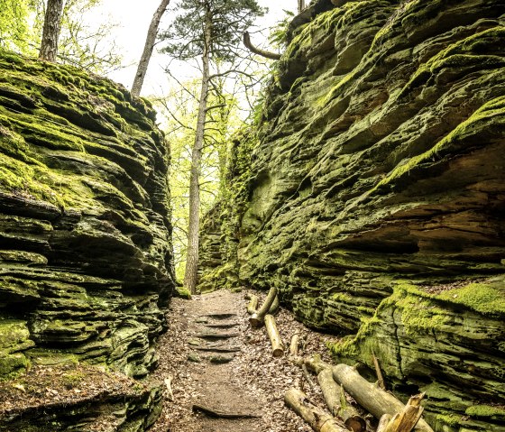 Felsenlandschaft auf der Lauschtour Gr&uuml;ne H&ouml;lle, &copy; Eifel Tourismus GmbH, Dominik Ketz