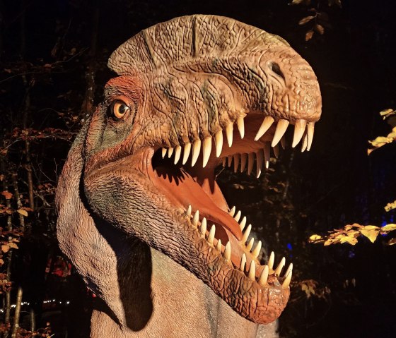 Der Teufelsschlucht-Dinosaurier: Dilophosaurus, © Dinosauroerpark Teufelsschlucht, Foto Elke Wagner
