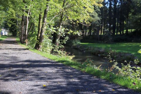 Ein gemeinsamer Weg neben einem kleinen Bach, umgeben von Bäumen. Die Sonne scheint durch das Laub und schafft eine friedliche Atmosphäre.