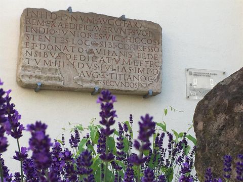 Eine Steinplatte mit lateinischer Inschrift an einer Wand. Unten blühen violette Lavendelpflanzen.