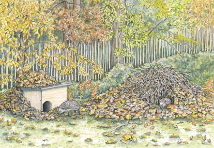 Unterschlupf f&uuml;r Igel, &copy; Naturpark S&uuml;deifel/Sabine Dubb