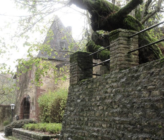 Schloss Roth, &copy; Felsenland S&uuml;deifel Tourismus GmbH