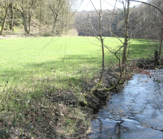 img_8815, &copy; Felsenland S&uuml;deifel Tourismus GmbH