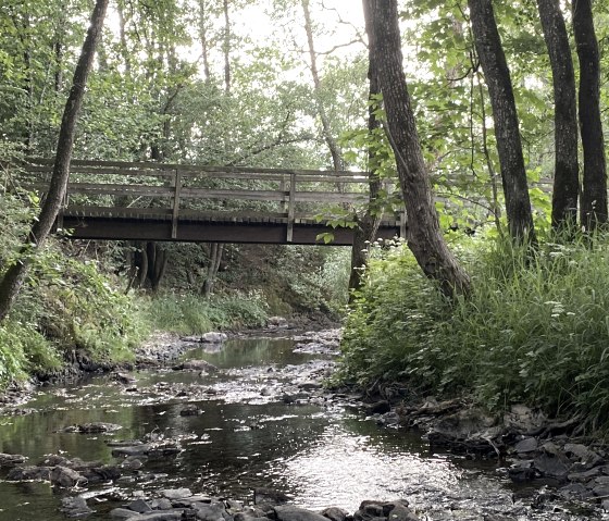 Steg &uuml;ber die Irsen, &copy; Ingo Kleis