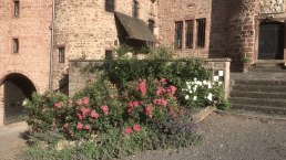Schloss Hamm - Impression
