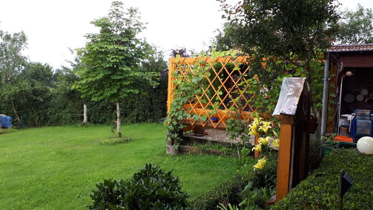 Un jardin vert avec beaucoup de pelouse et un petit arbre. En arrière-plan se trouve un treillis à plantes décoratif de couleur jaune.