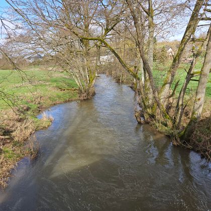 Een rustige rivier stroomt door een groene landschap met bomen aan de oevers. De lucht is helder en het is overdag.