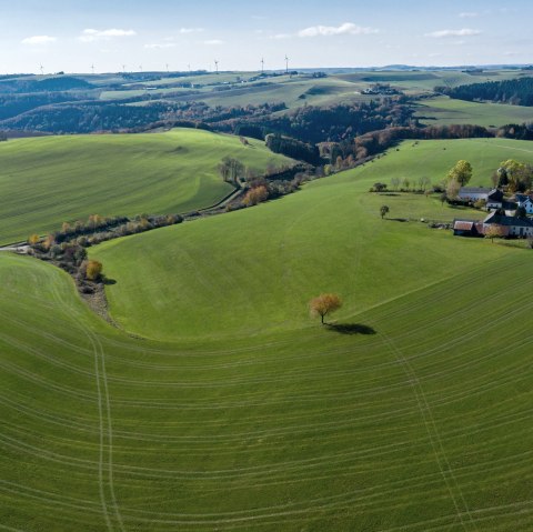 Blick auf den Komfort-Weg Ammeldingen bei Neuerburg, &copy; Naturpark S&uuml;deifel/Philipp K&ouml;hler