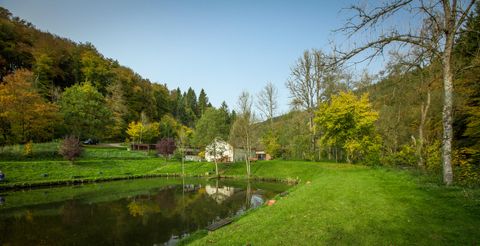 Eine malerische Landschaft mit einem ruhigen Teich und buntem Laub. Im Hintergrund steht ein kleines Haus, umgeben von Bäumen.