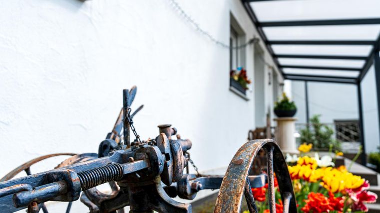 Ein alter Pflug mit Blumen im Hintergrund. Die Umgebung ist hell und freundlich gestaltet.