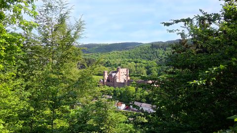 Panoramablick auf Schloss Hamm umgeben von grünen Bäumen und Hügeln.