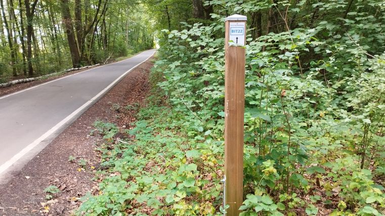 Wanderweg 22 Schild neben einer Straße im Wald.