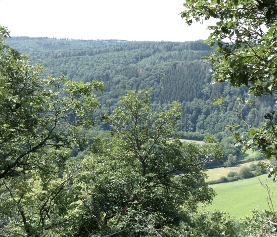 Pr&uuml;mtalblick vom Wanderweg Nr. 19, &copy; Tourist-Info Islek