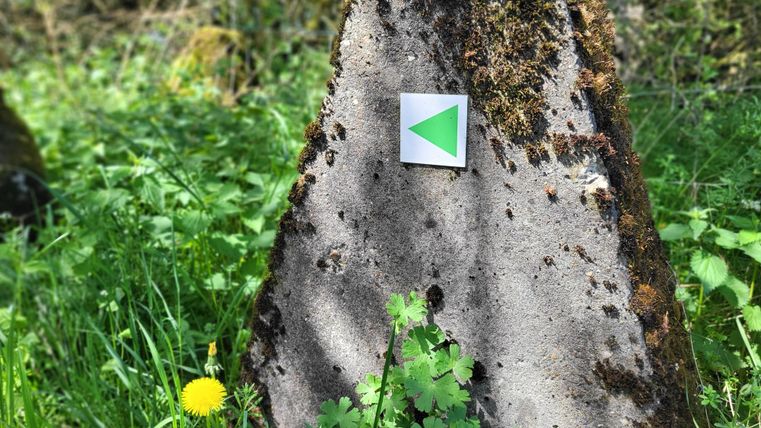 Ein grauer Stein mit einem grünen Pfeil und Moos, umgeben von üppigem Grün und einem Löwenzahn. Die Szene vermittelt einen natürlichen, ruhigen Eindruck.