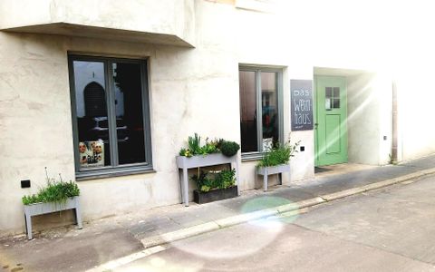 Un bâtiment moderne avec deux fenêtres et une porte verte. Devant la maison, il y a des jardinières avec des plantes.