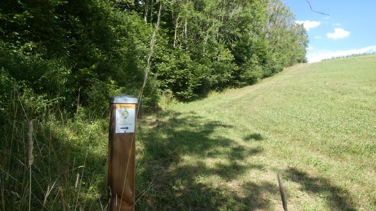 Wegweiser im Kannenbachtal mit grüner Wiese und Bäumen.