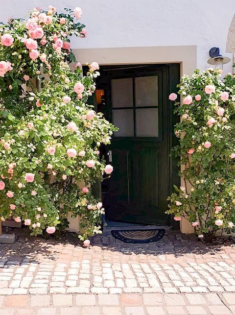 A green door, surrounded by blooming roses in gentle shades of pink. The paved floor gives the entrance an inviting ambiance.