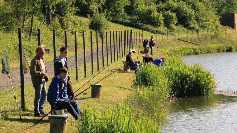 Un groupe de pêcheurs est assis au bord d'un étang tranquille. Entourés de buissons verts et d'arbres, ils attendent patiemment une prise.