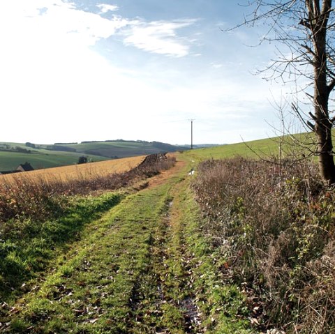 After the rain, © Volker Teuschler