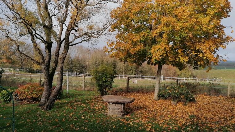 Ein schöner Garten mit einem Tisch aus Stein und bunten Herbstblättern. Im Hintergrund sind Bäume und eine eingezäunte Wiese zu sehen.