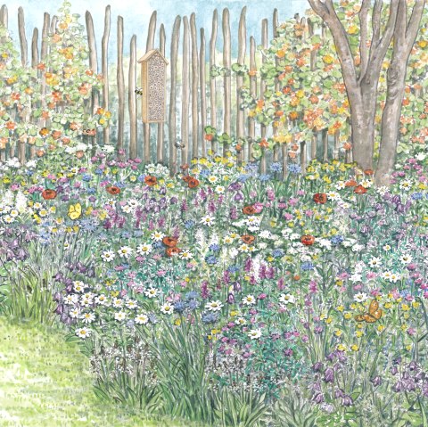 Gartenkultur-Eifel Blumenwiese, &copy; Naturpark S&uuml;deifel/Sabine Dubb