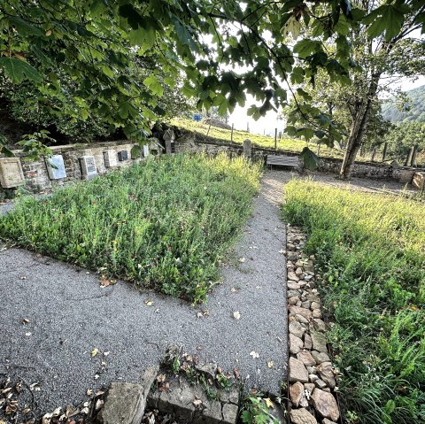 Jüdischer Friedhof Blumenwiese, © Felsenland Südeifel Tourismus GmbH, A. C. Krebs