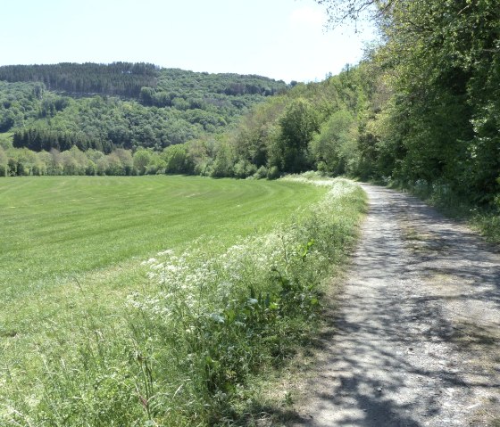 GPS-Tour Weg, &copy; Tourist-Information Islek, Ingrid Wirtzfeld