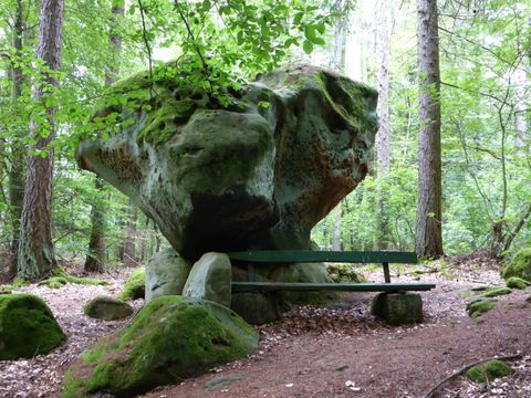 Ein großer, moosbedeckter Felsen in einem Wald. Neben dem Felsen steht eine Bank, umgeben von Bäumen und grüner Vegetation.