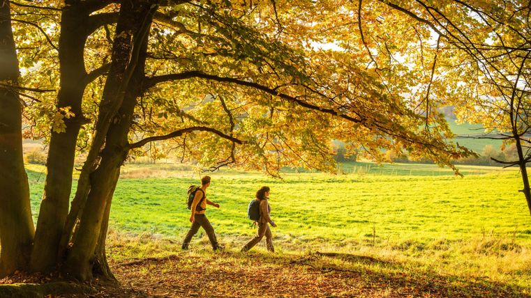 Zwei Personen wandern durch einen herbstlichen Wald. Die Bäume sind bunt gefärbt und die Wiese strahlt in sattem Grün.