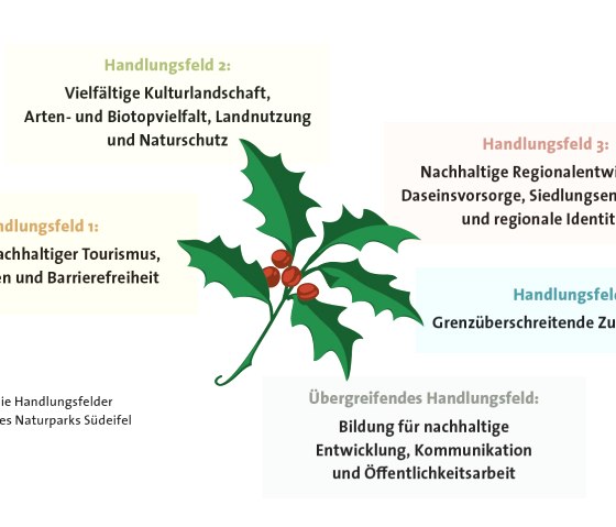Handlungsfelder Naturparkplan S&uuml;deifel 2030