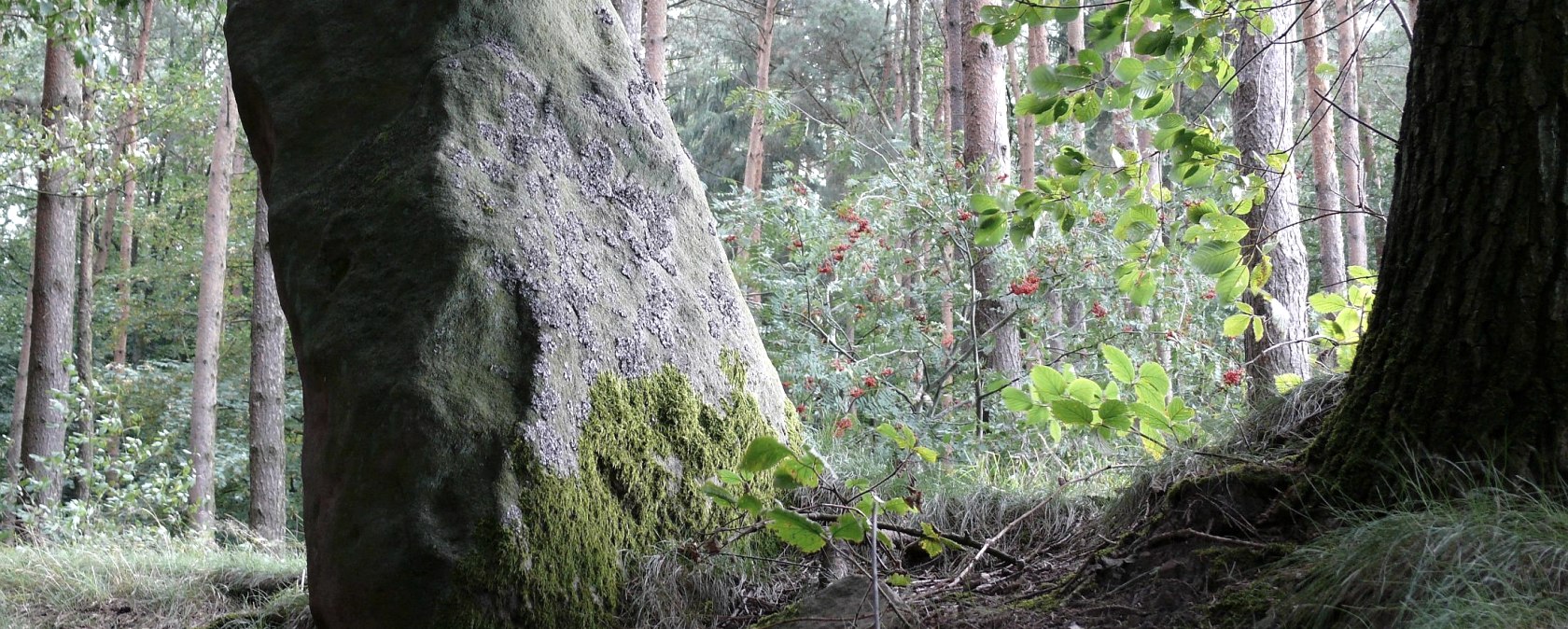 Der Langenstein bei Holsthum, © Felsenland Südeifel Tourismus GmbH