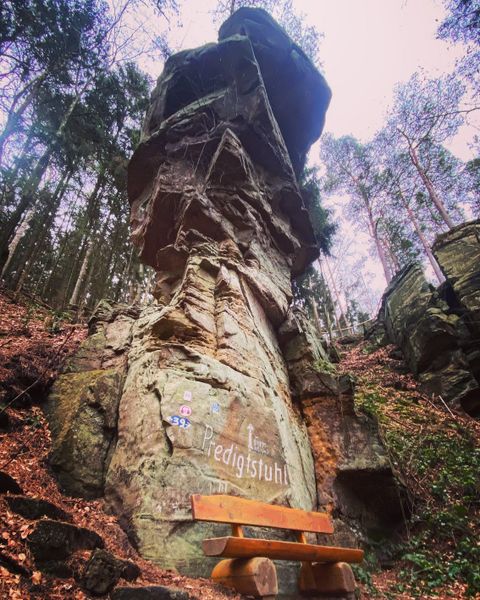 Ein großer Felsen in einem Wald mit einer Holzbank davor. Die Steinformation hat eine einzigartige Form und ist von Bäumen umgeben.