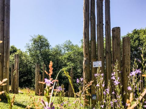 Ein Bereich mit hohen Holzpfosten, umgeben von grünen Bäumen und bunten Wildblumen. Der Himmel ist klar und blau.