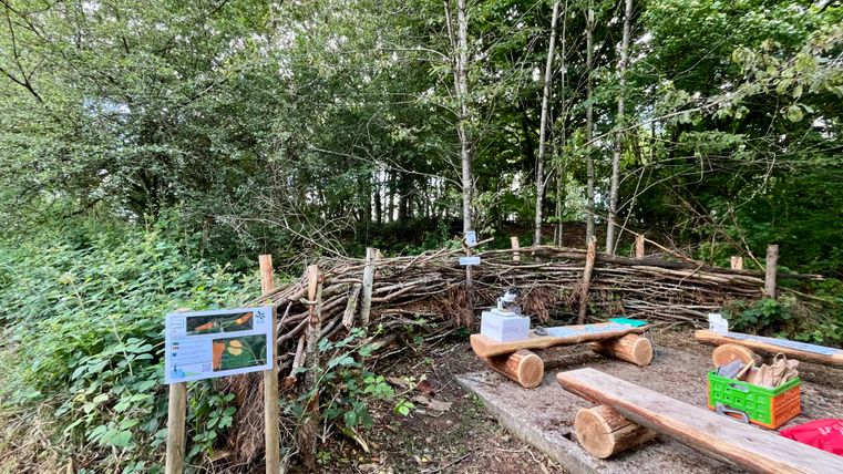 Grünes Klassenzimmer Schulwald Daleiden