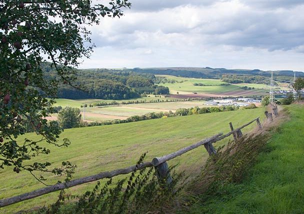 Landschap met weilanden, bomen en een houten hek op de voorgrond, zicht op velden en heuvels onder een bewolkte hemel.