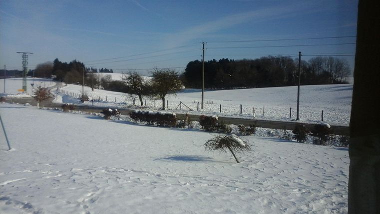 Een besneeuwd landschap met bomen en een heldere blauwe lucht. Op de achtergrond zijn weilanden en hekken te zien.