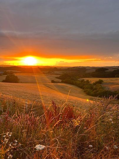 Een schilderachtige zonsondergang boven een heuvelachtig landschap. De velden stralen in warme kleuren, terwijl bloeiende planten op de voorgrond zichtbaar zijn.