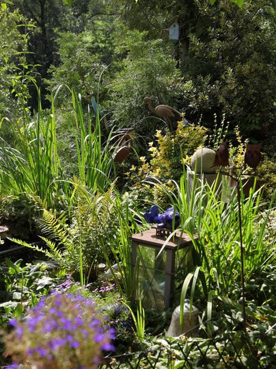 Un jardin luxuriant avec une végétation verte et des fleurs colorées. Une lanterne se trouve sur le sol, entourée de différentes plantes.