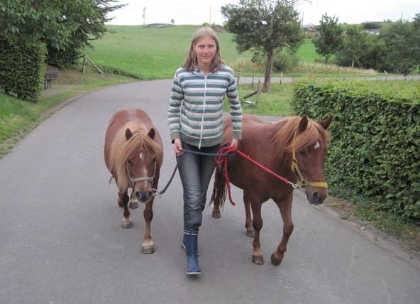 Une femme mène deux poneys sur un chemin. L'environnement est vert et rural.