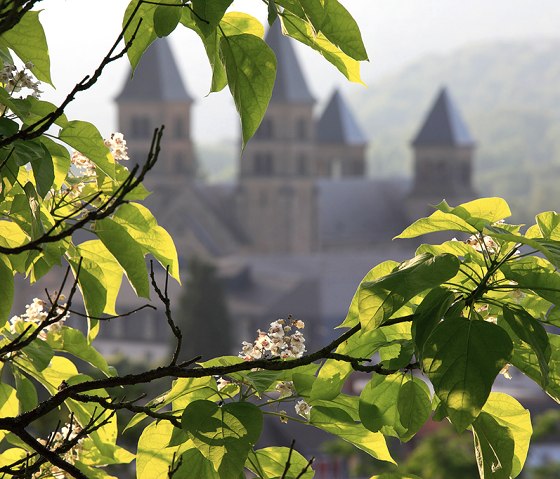 Ein Baum mit grünen Blättern und weißen Blüten im Vordergrund, dahinter verschwommen eine Kirche mit drei Türmen., © Naturpark Südeifel, C. Schleder