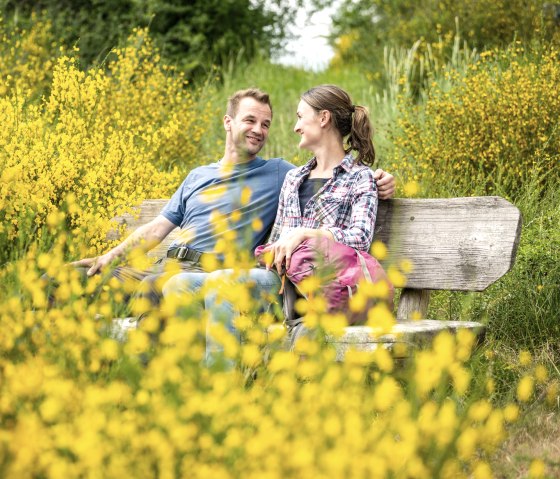 A couple sits smiling on a wooden bench, surrounded by blooming yellow broom in a green landscape., &copy; Eifel Tourismus GmbH, Dominik Ketz