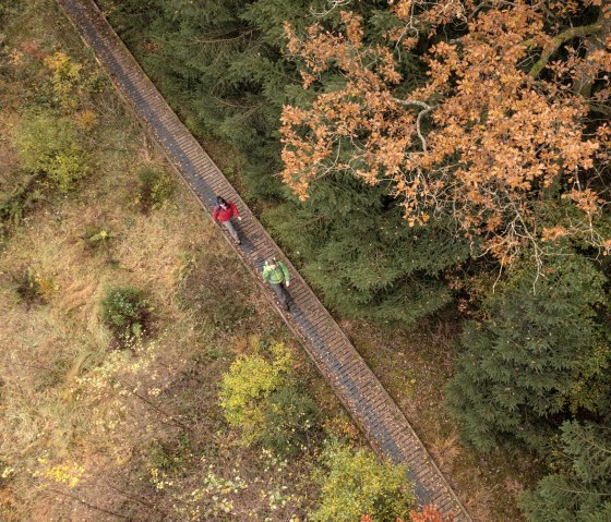 Wanderer auf Steg im Herbst auf dem Moore-Pfad Schneifel, © Eifel Tourismus GmbH, Dominik Ketz