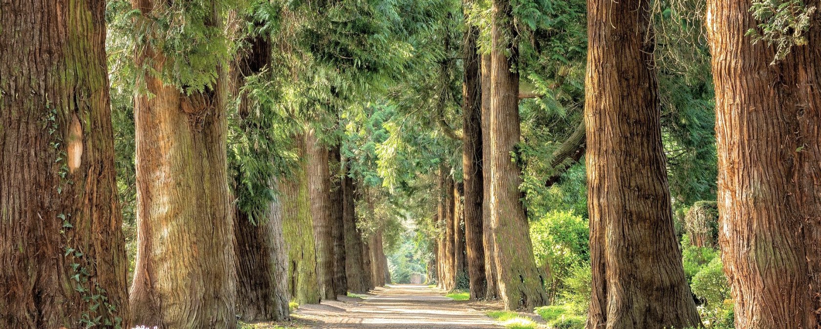 Hiking trail, &copy; Pixabay