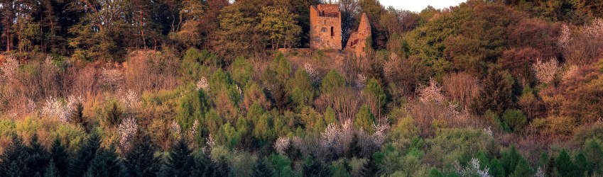 Felsenweg 5 im NaturWanderPark delux, &copy; NP S&uuml;deifel ZV / Charly Schleder