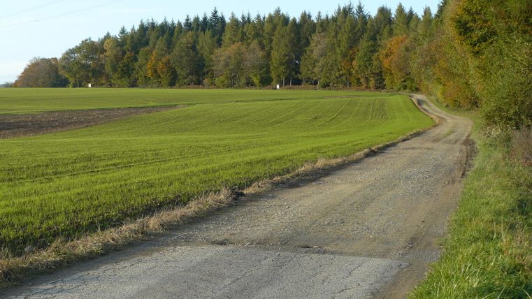 Chemin rural à côté d'un champ et d'une forêt verdoyants.