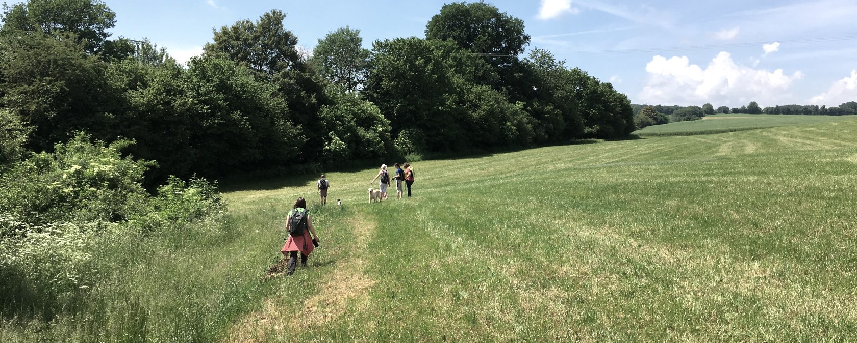 Eine Gruppe von Menschen wandert &uuml;ber eine gr&uuml;ne Wiese, umgeben von B&auml;umen, unter einem klaren blauen Himmel., &copy; TI Bitburger Land