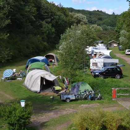 A picturesque campsite with several tents and RVs in a green setting. Trees and shrubs surround the area, which is traversed by a path.