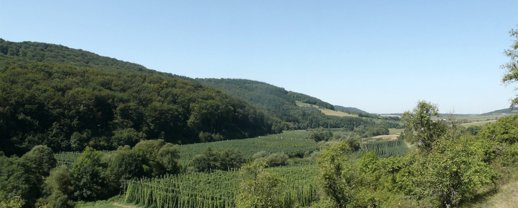 Blick &uuml;ber die Hopfenfelder im Pr&uuml;mtal, &copy; Felsenland S&uuml;deifel Tourismus GmbH